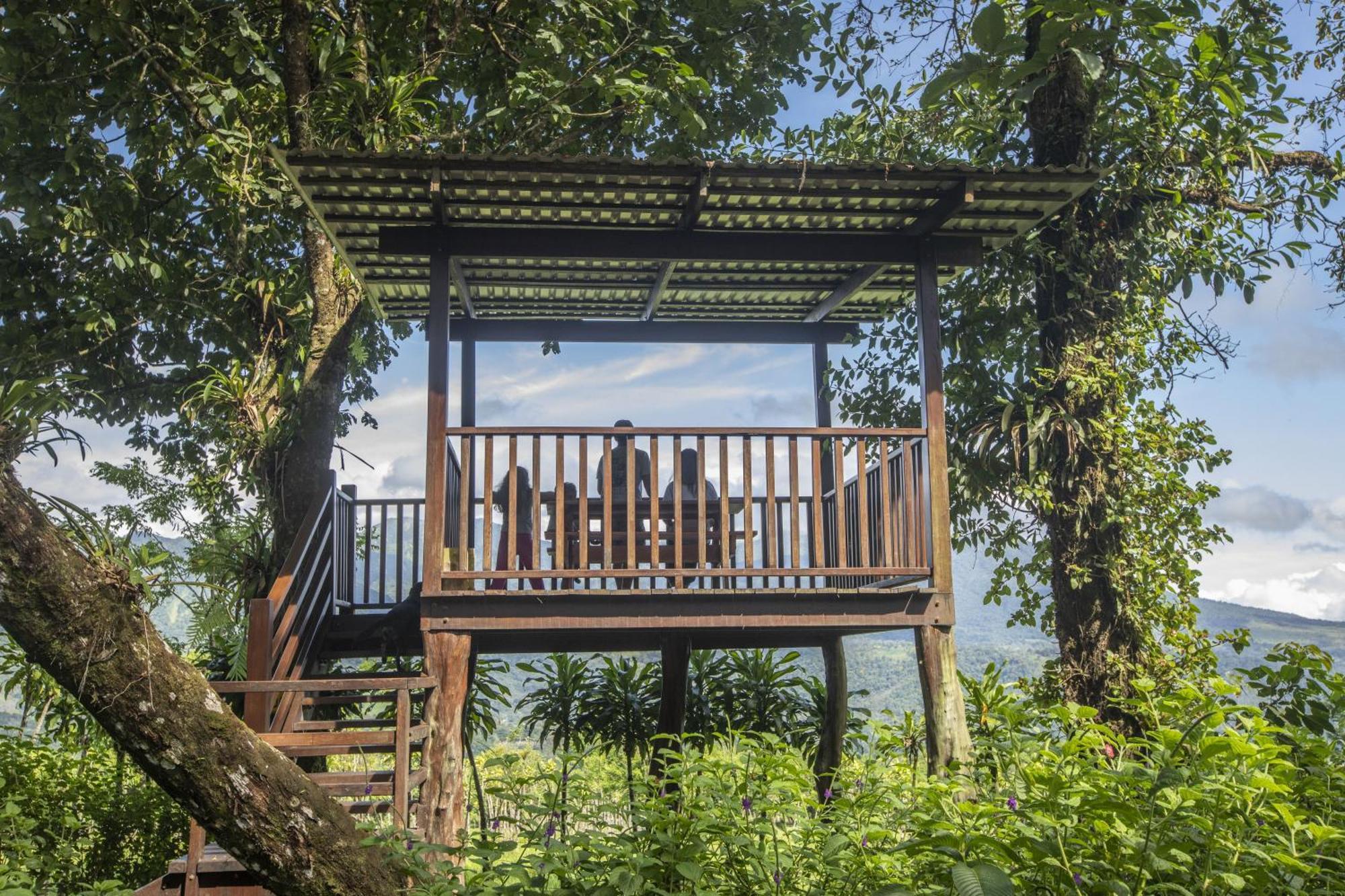 "Hana'S Celeste Retreat" Large Modern Villa Sleeps 6 On 20 Acres Of Nature! Bijagua Exterior photo